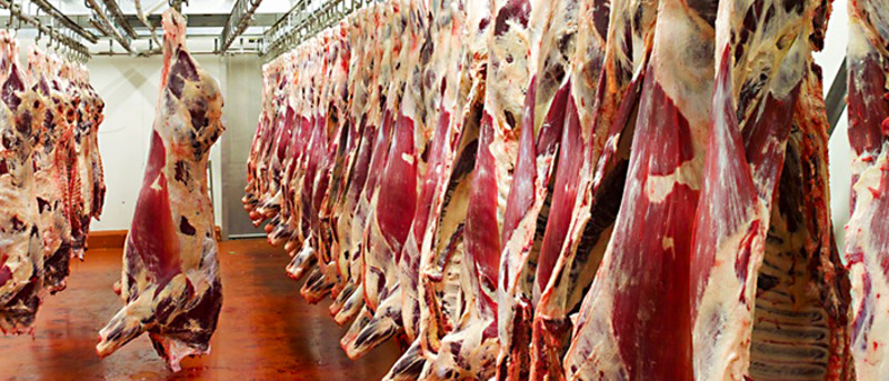 Αφύγρανση στη βιομηχανία κρέατος-Trotec
